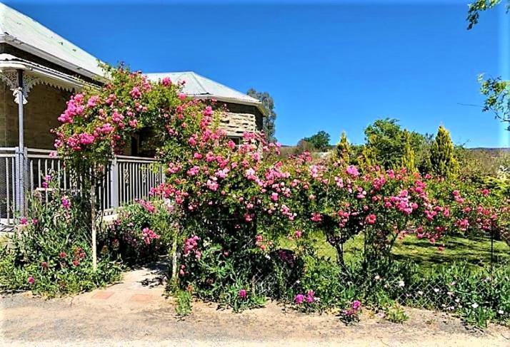 Jack Of The Karoo Villa ซูเธอร์แลนด์ ภายนอก รูปภาพ